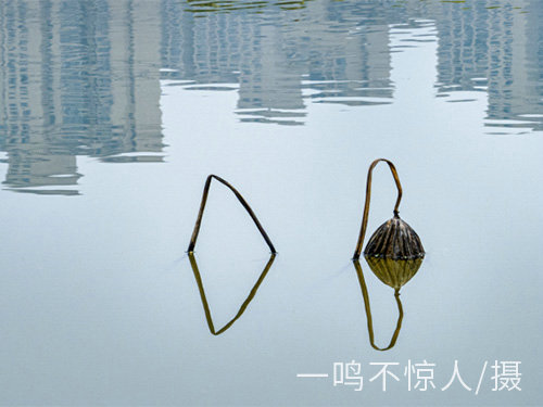 城市风光 (11) 城市风光 (11)